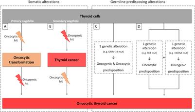 Inherited Thyroid Tumors With Oncocytic Change